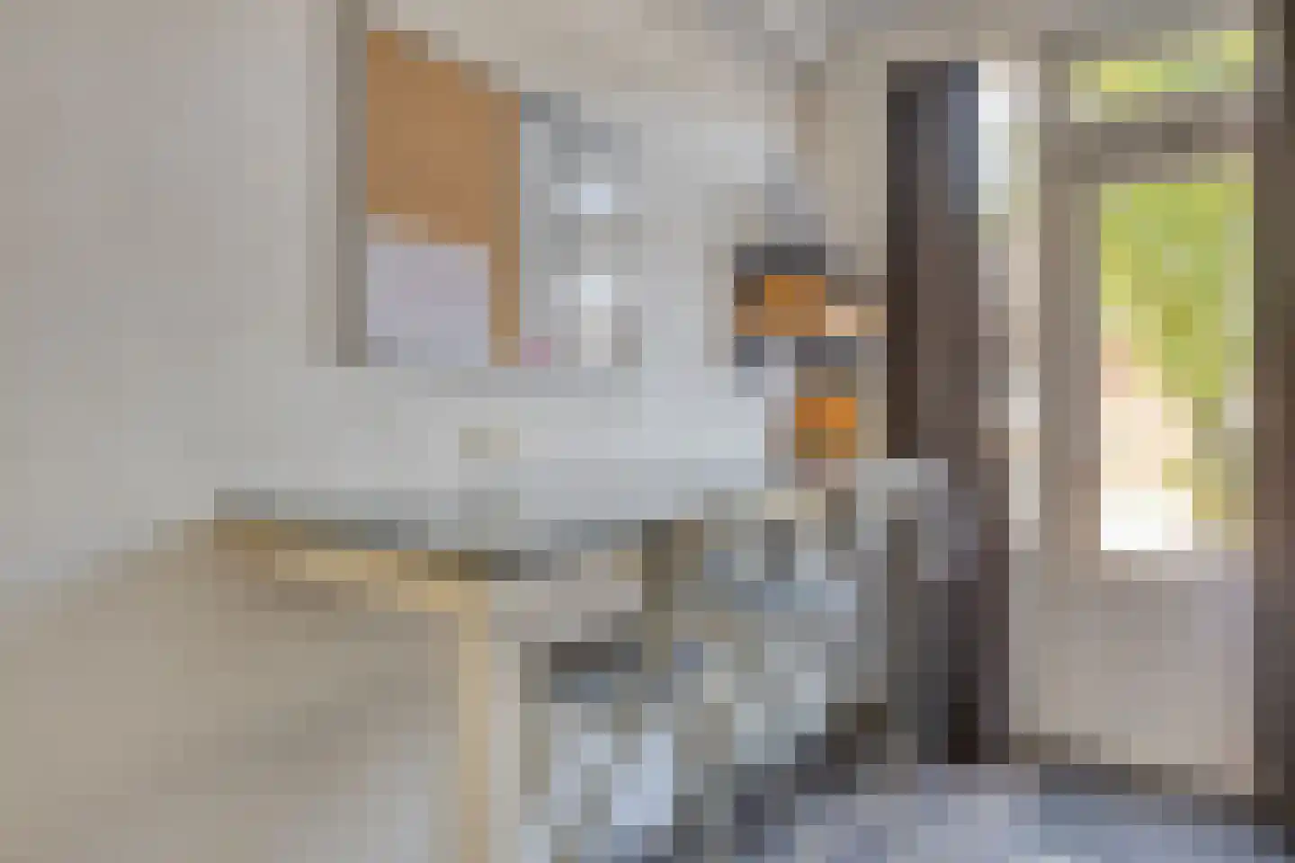 Egbert Kortenaerstraat 13 's-Hertogenbosch thumbnail 21