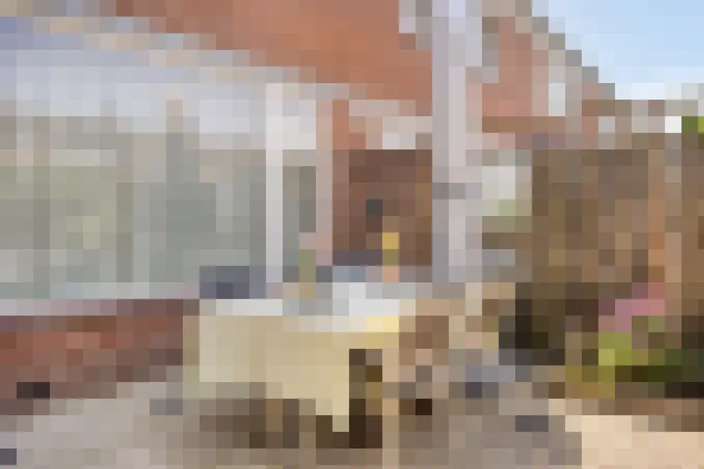 Egbert Kortenaerstraat 13 's-Hertogenbosch thumbnail 35