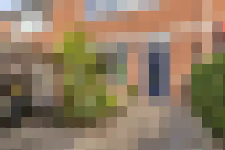 Egbert Kortenaerstraat 23 's-Hertogenbosch thumbnail 24