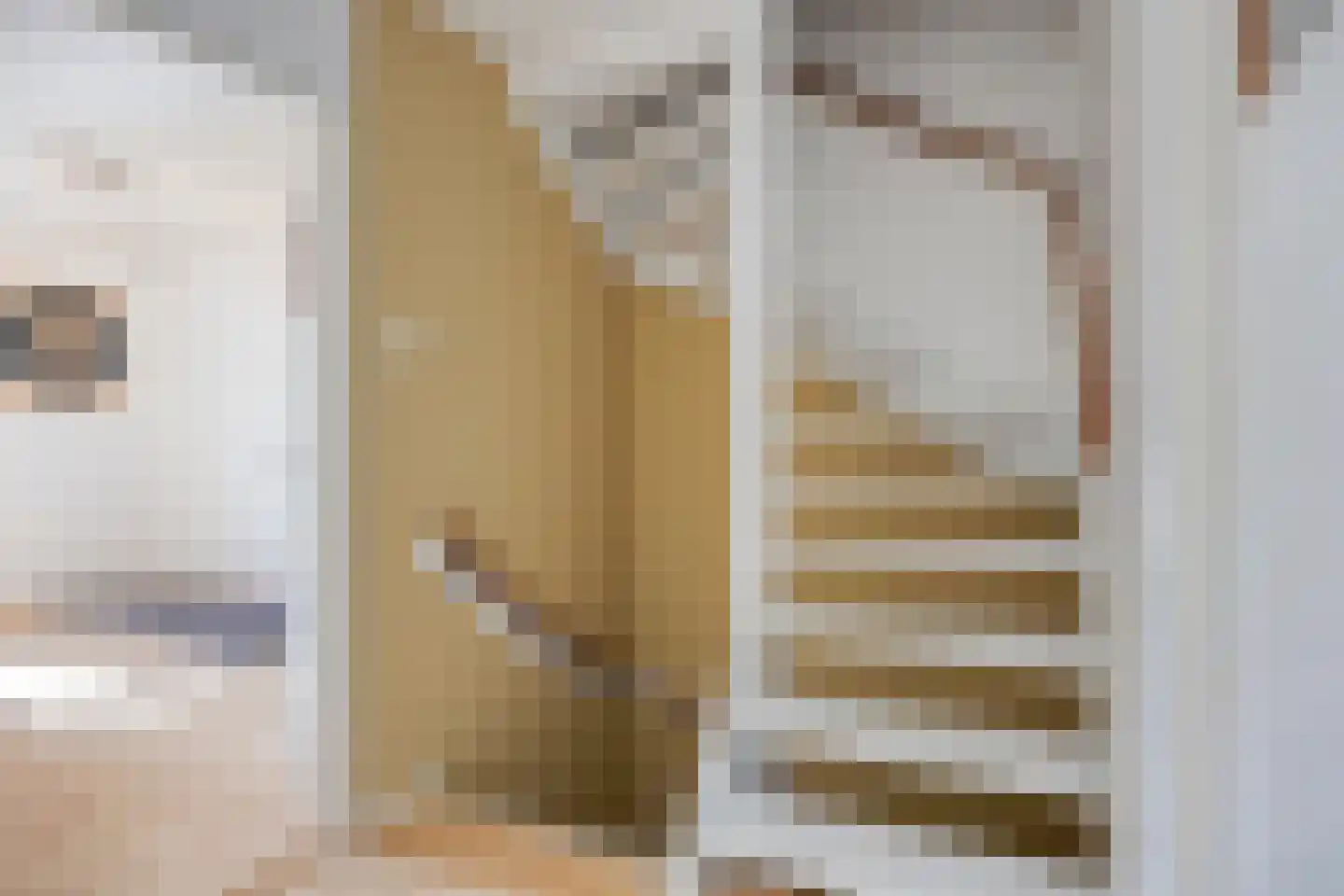 Egbert Nijstadlaan 19 Dwingeloo thumbnail 21