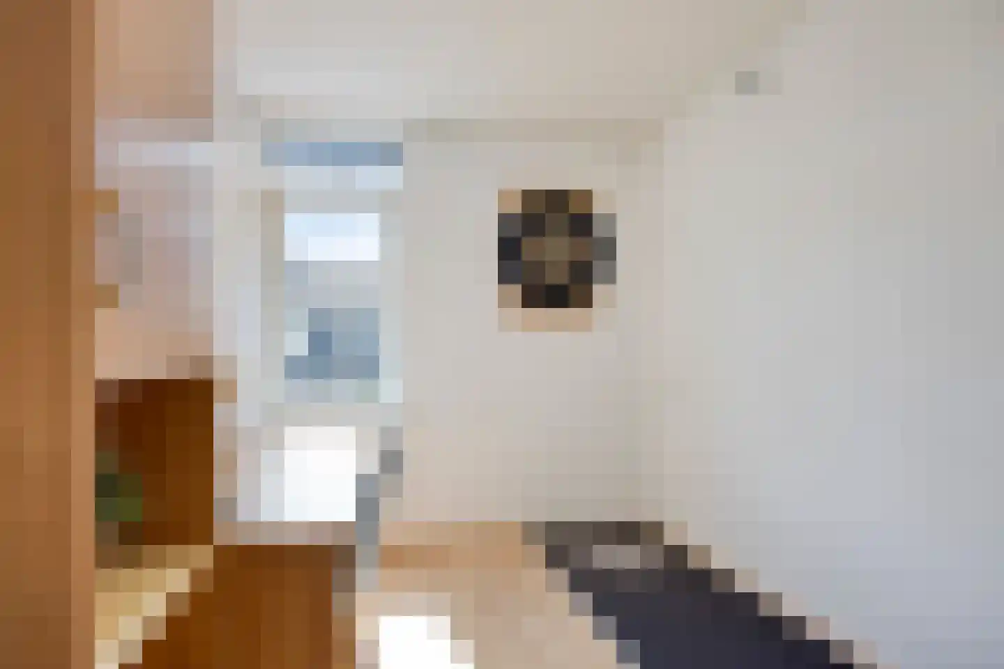 Egbert Nijstadlaan 19 Dwingeloo thumbnail 22