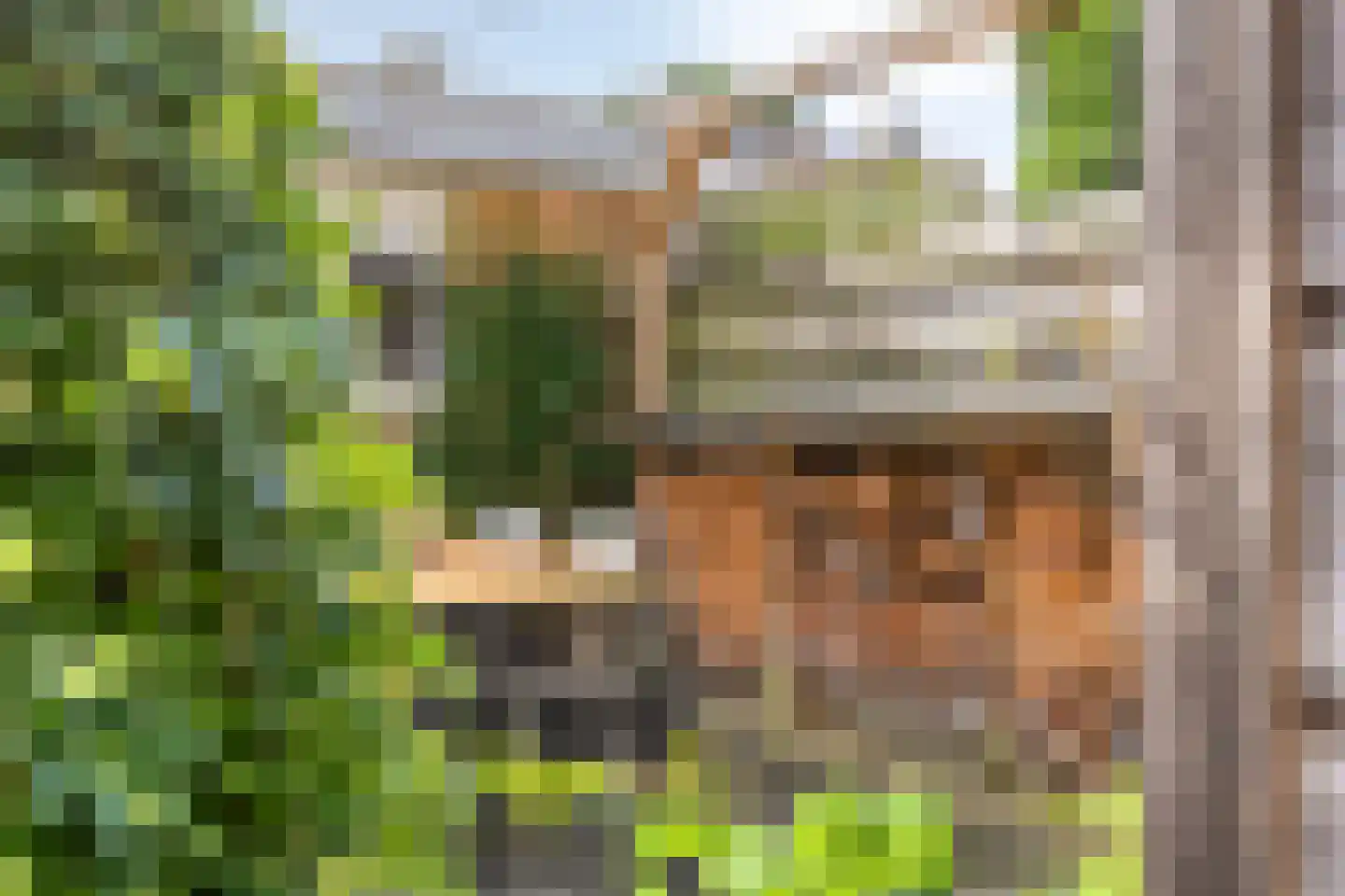 Egbert Nijstadlaan 19 Dwingeloo thumbnail 30