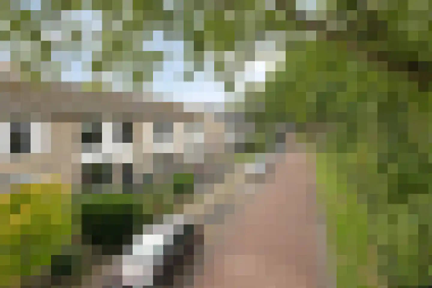 Egbert Nijstadlaan 19 Dwingeloo thumbnail 39