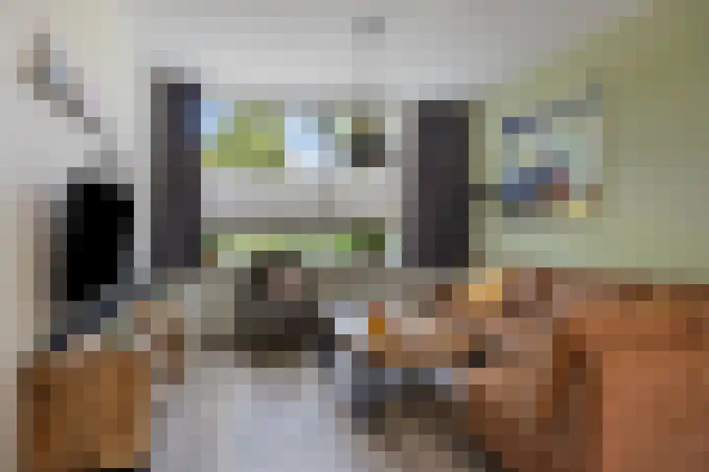 Egbert Nijstadlaan 19 Dwingeloo thumbnail 6