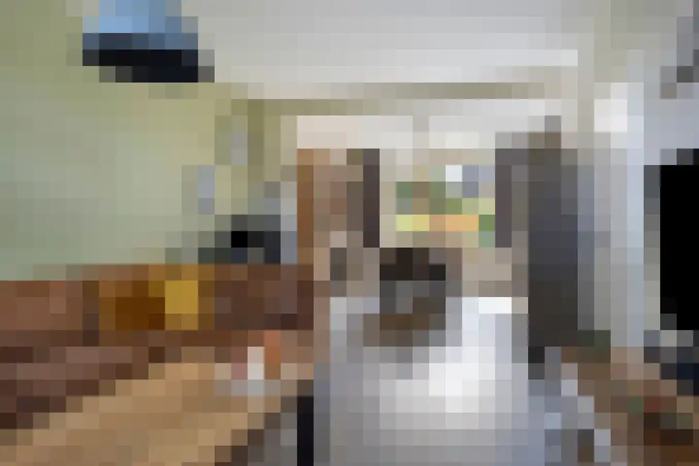 Egbert Nijstadlaan 19 Dwingeloo thumbnail 7