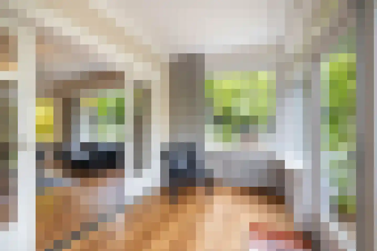 Egbert ten Catelaan 4 Almelo thumbnail 11
