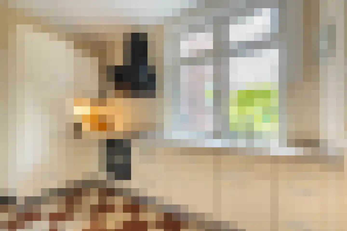 Egbert ten Catelaan 4 Almelo thumbnail 17