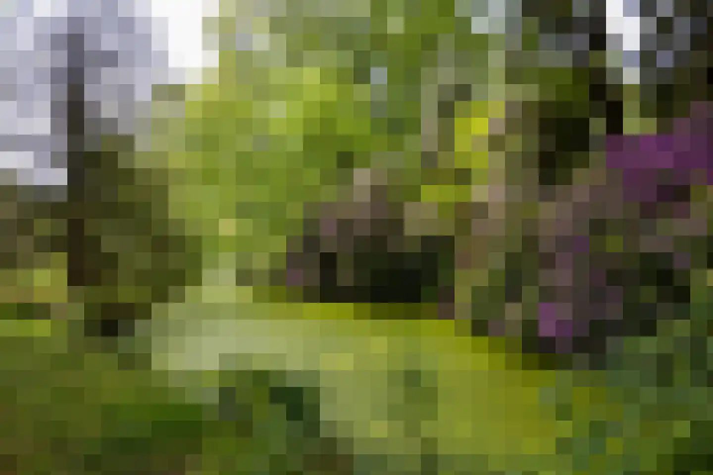 Egbert ten Catelaan 4 Almelo thumbnail 37