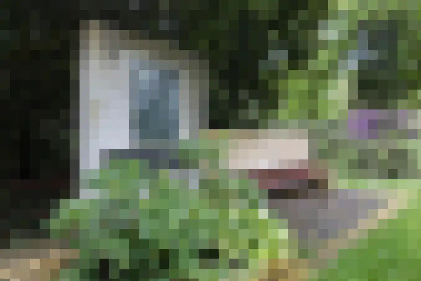 Egbert ten Catelaan 4 Almelo thumbnail 38