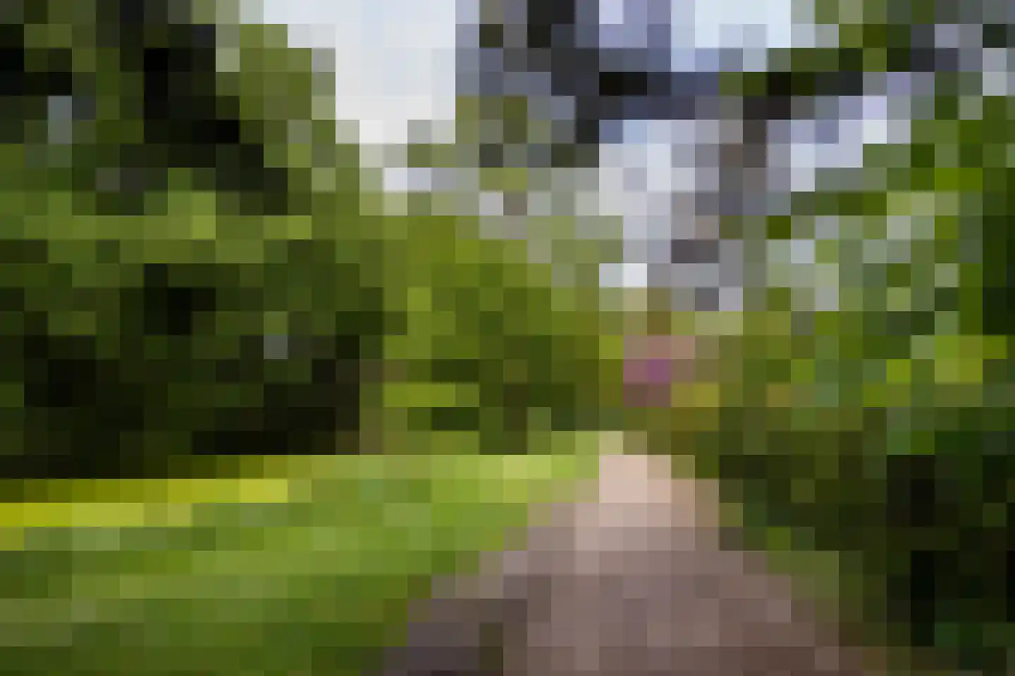 Egbert ten Catelaan 4 Almelo thumbnail 39