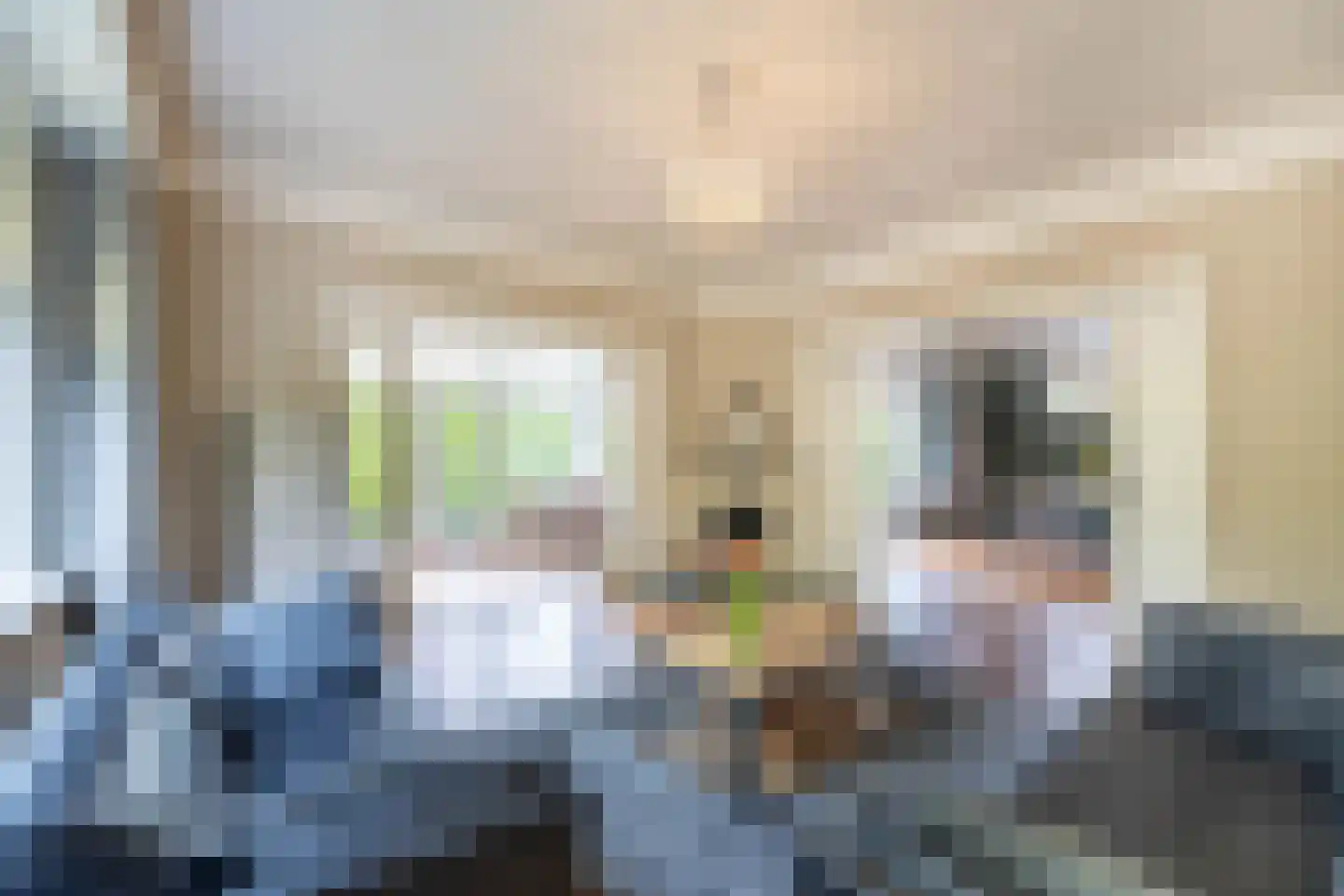 Egbert ten Catelaan 4 Almelo thumbnail 4