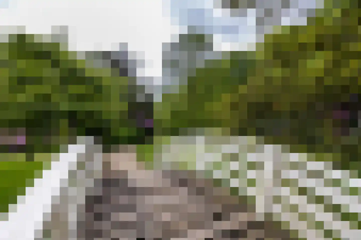 Egbert ten Catelaan 4 Almelo thumbnail 40