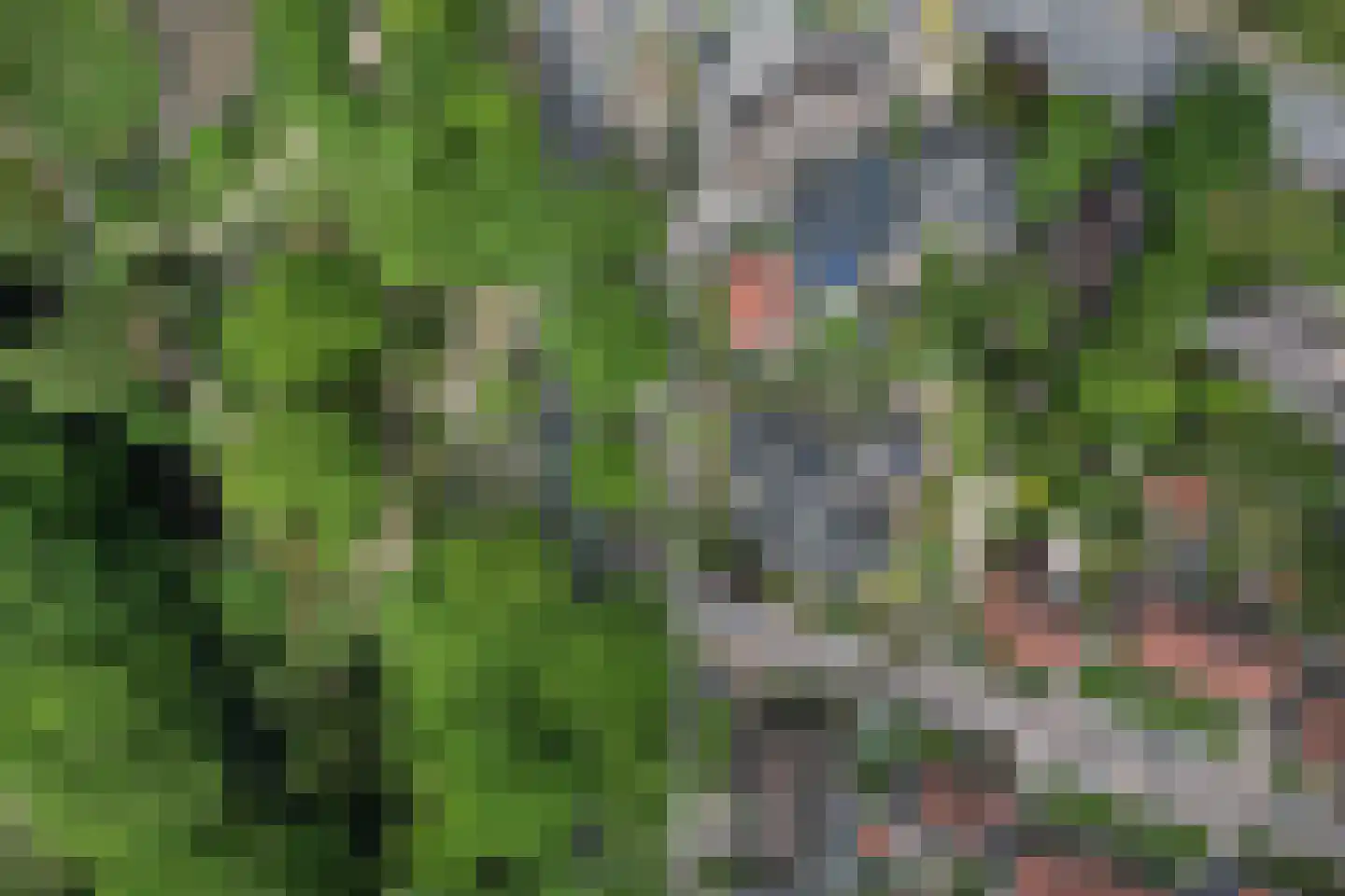 Egbert ten Catelaan 4 Almelo thumbnail 42