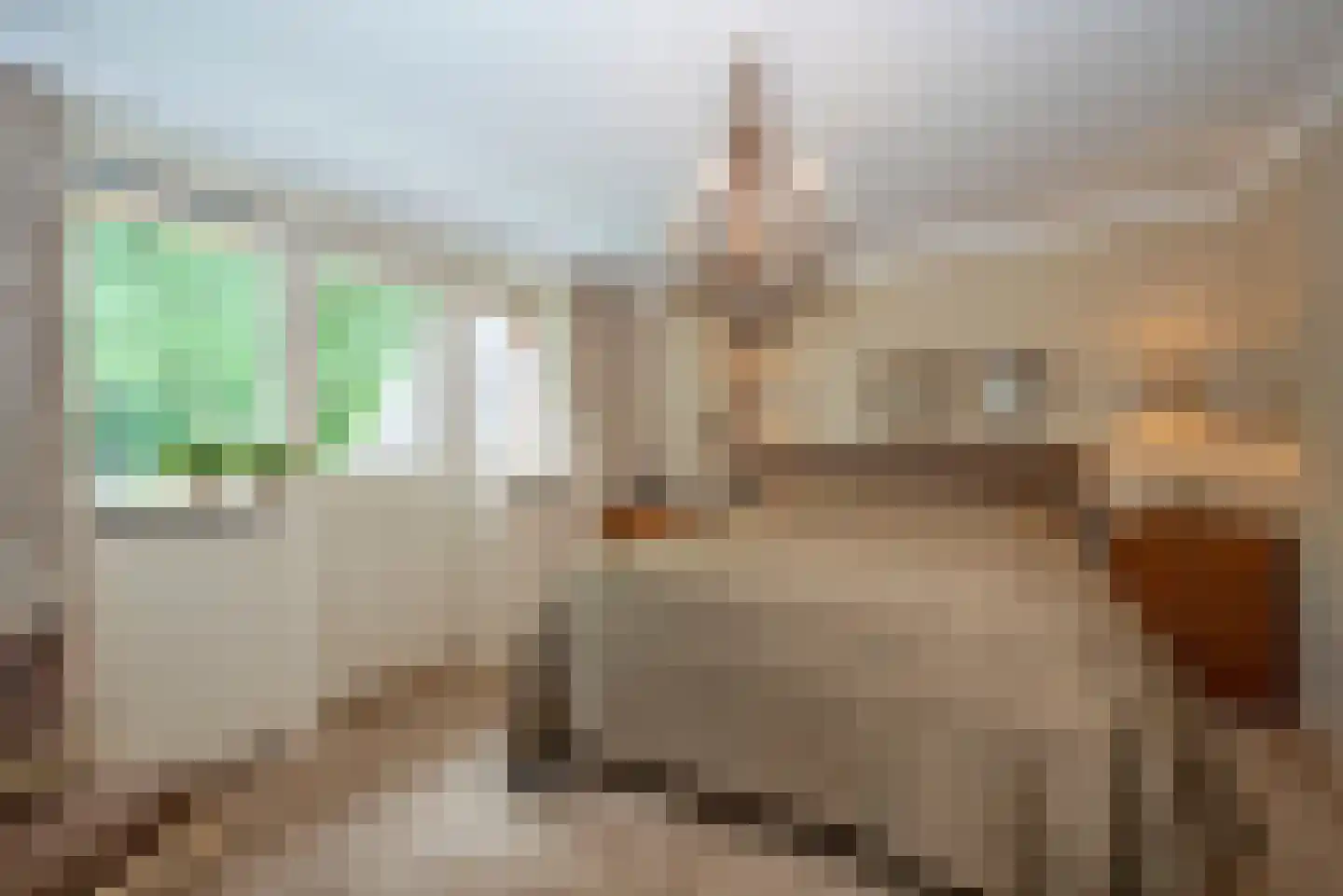 Egbert ten Catelaan 8 Almelo thumbnail 22