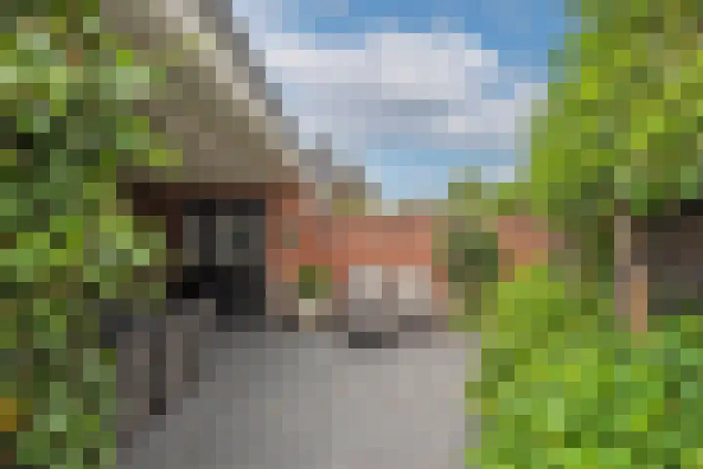 Egbert ten Catelaan 8 Almelo thumbnail 37