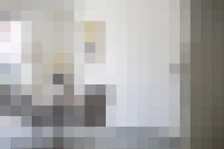 Egbert van Drielststraat 4 Rijen thumbnail 12