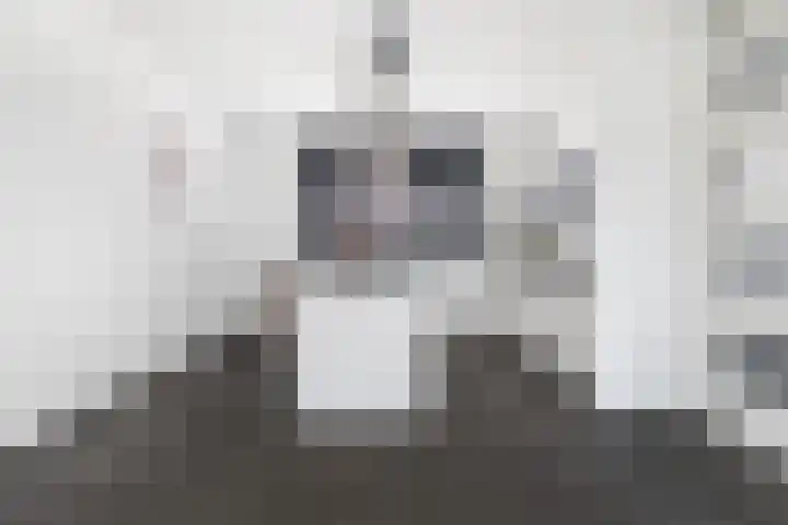 Egbert van Drielststraat 4 Rijen thumbnail 14
