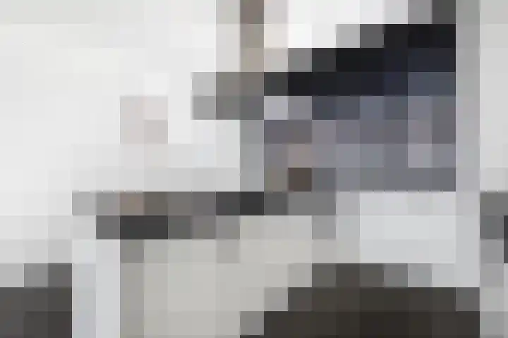 Egbert van Drielststraat 4 Rijen thumbnail 17
