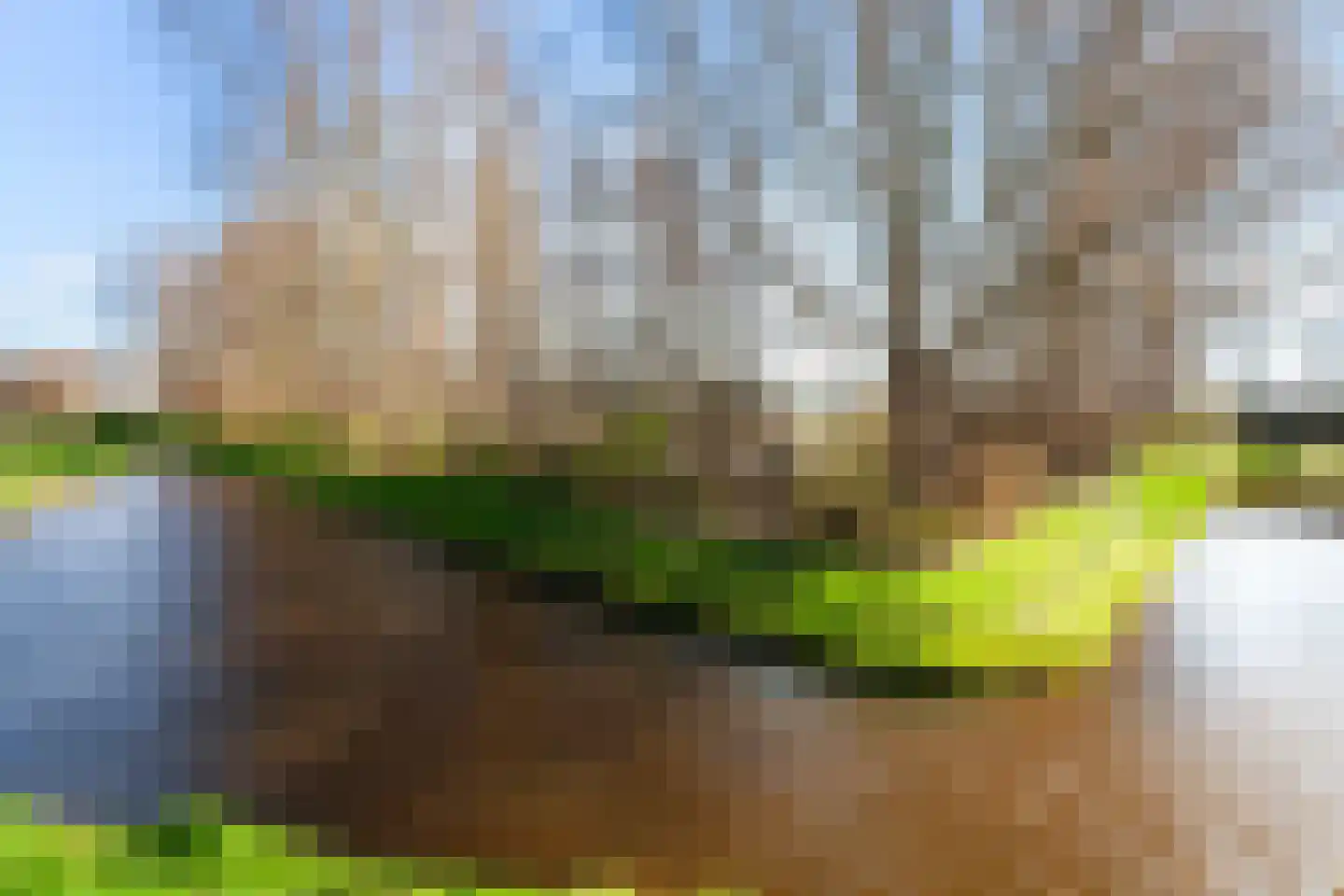 Egbert van 't Oeverstraat 4 Lisse thumbnail 34
