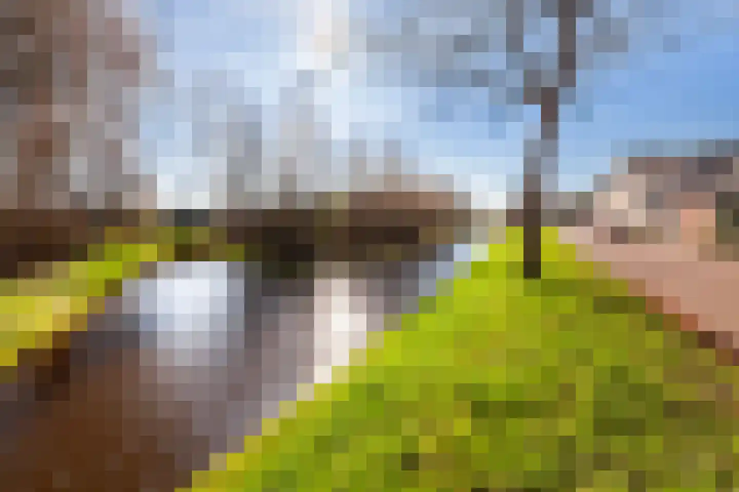 Egbert van 't Oeverstraat 4 Lisse thumbnail 35