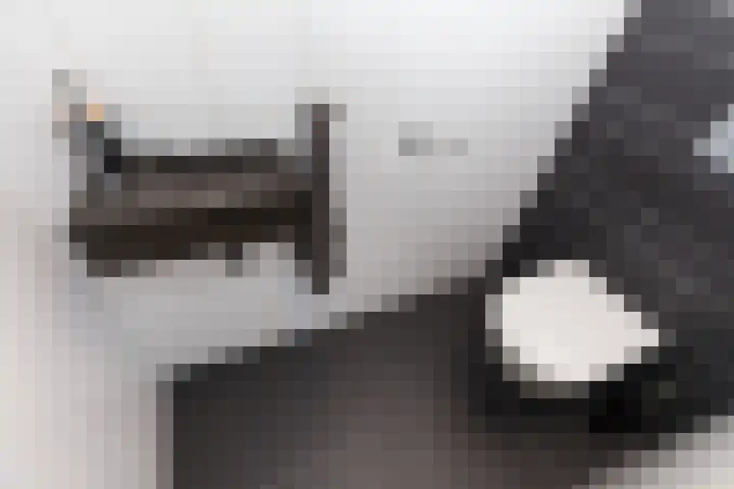 Egbert van 't Oeverstraat 4 Lisse thumbnail 9