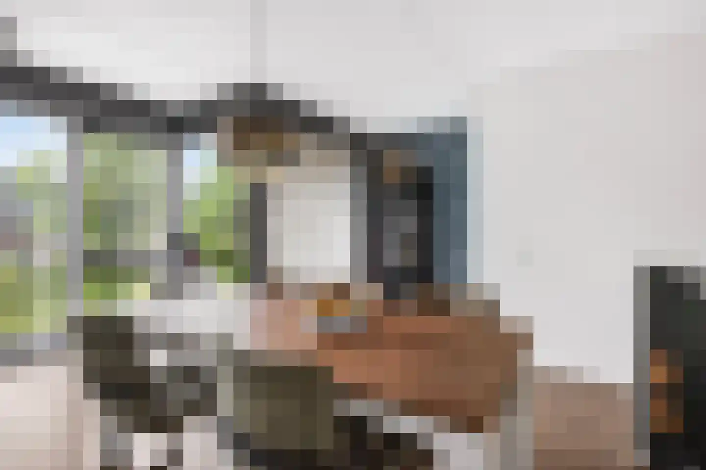 Egbert Veenhof 27 Ede thumbnail 21