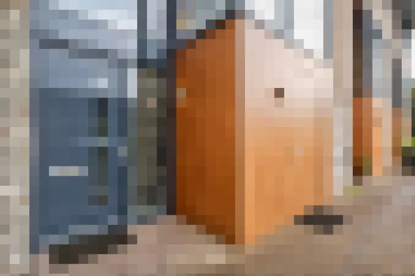Egbert Veenhof 27 Ede thumbnail 4