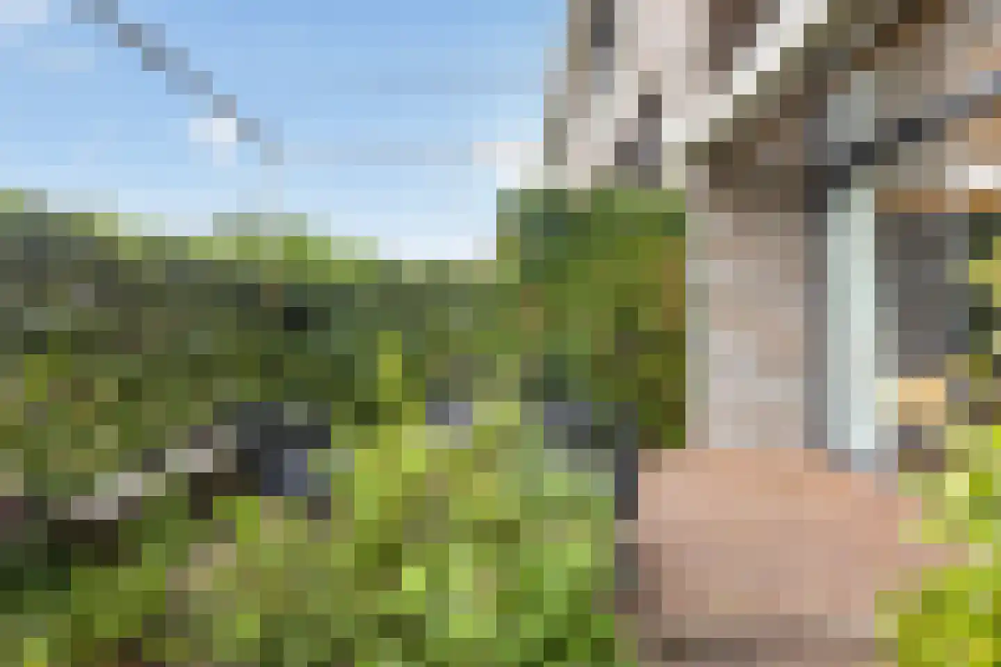 Egbert Veenhof 27 Ede thumbnail 47