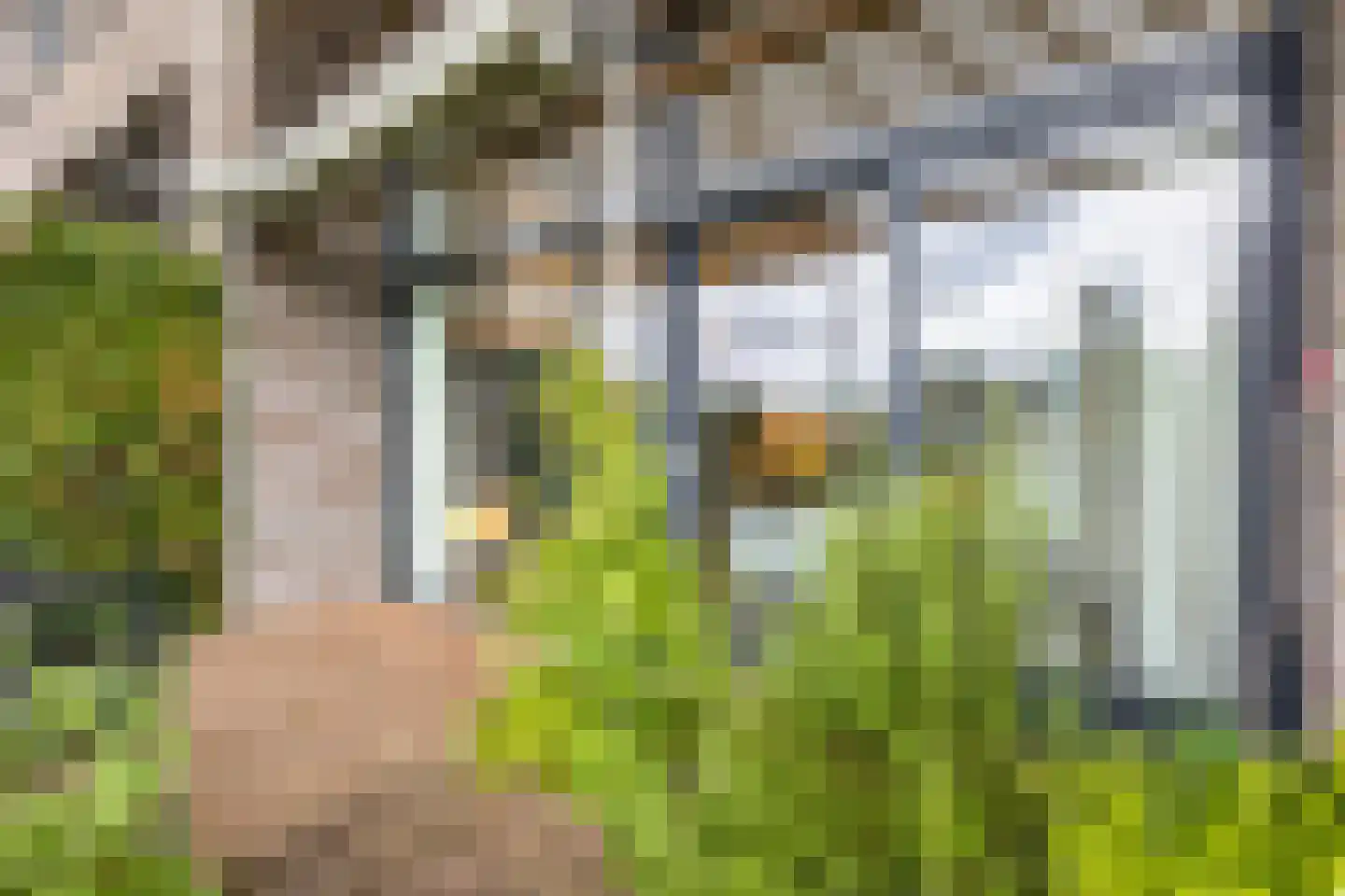 Egbert Veenhof 27 Ede thumbnail 48