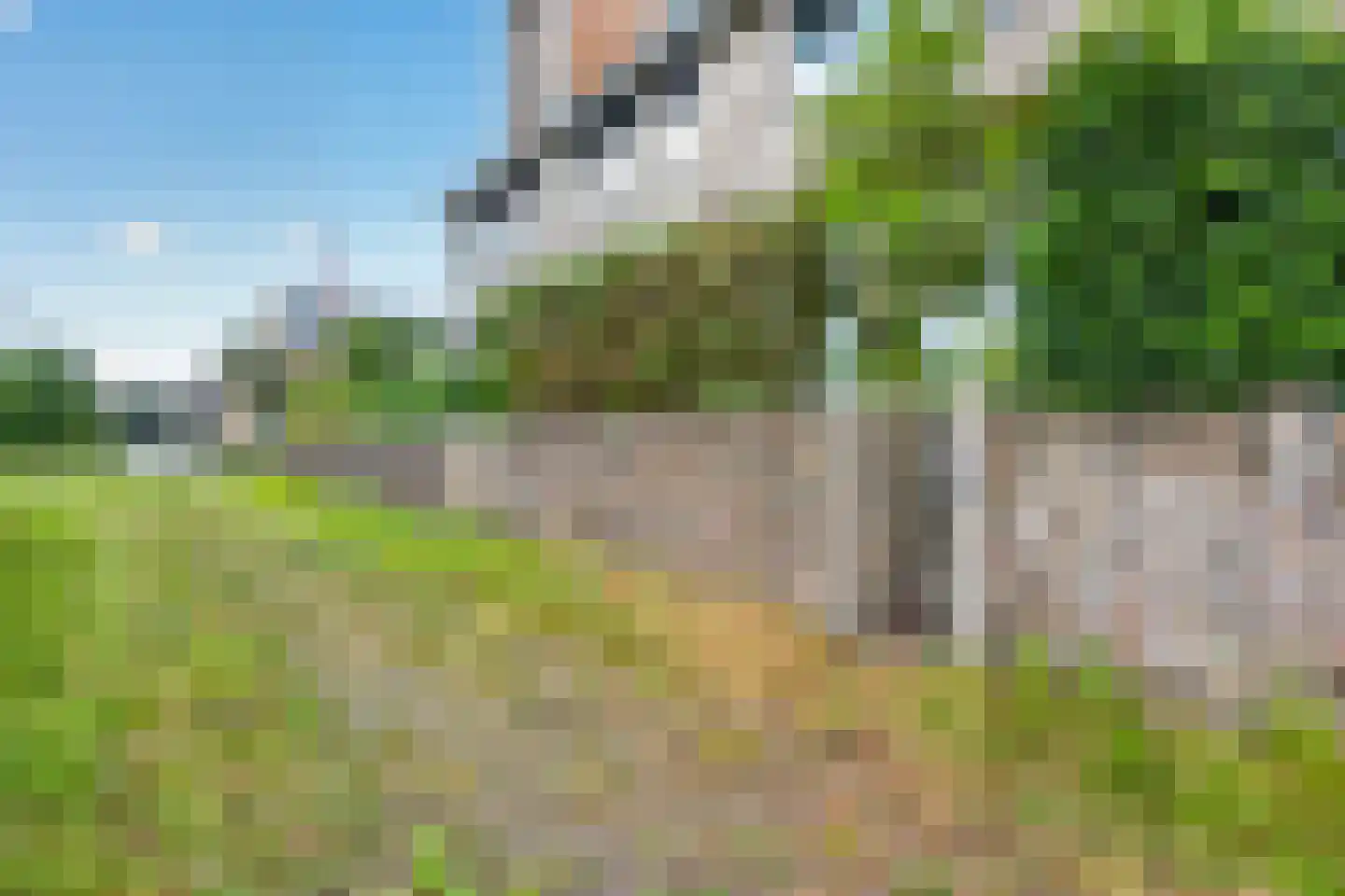 Egbert Veenhof 27 Ede thumbnail 50