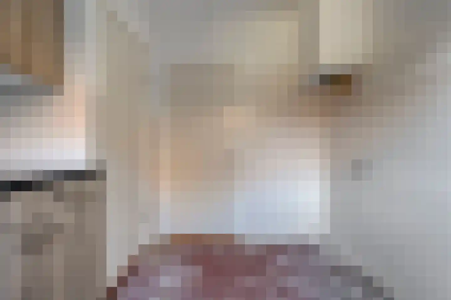 Egbert Veermanstraat 3 Olst thumbnail 16