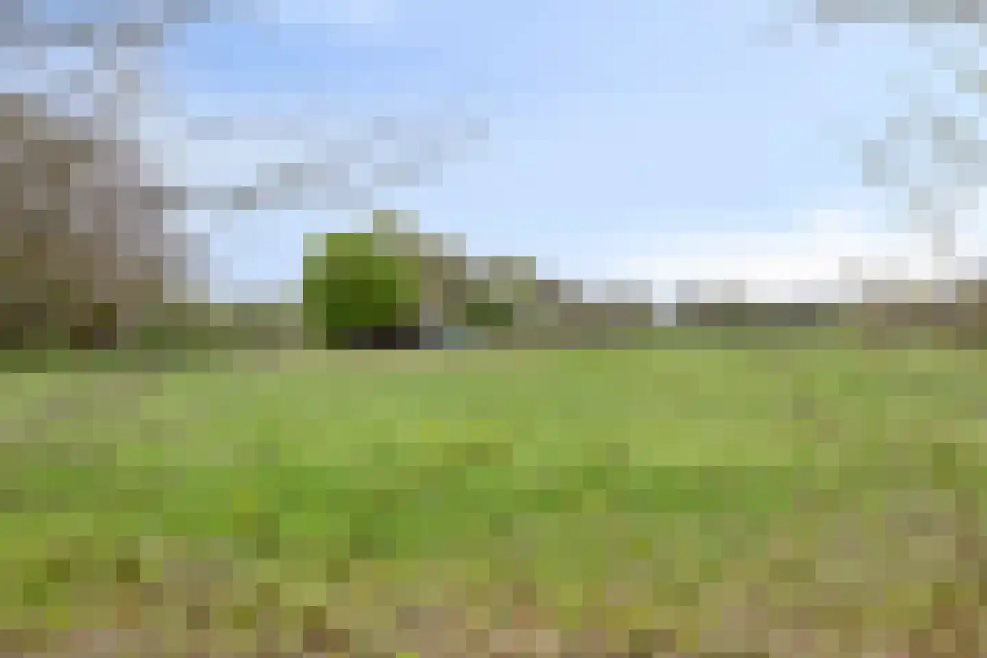 Egbertdonk 10 Roosendaal thumbnail 58