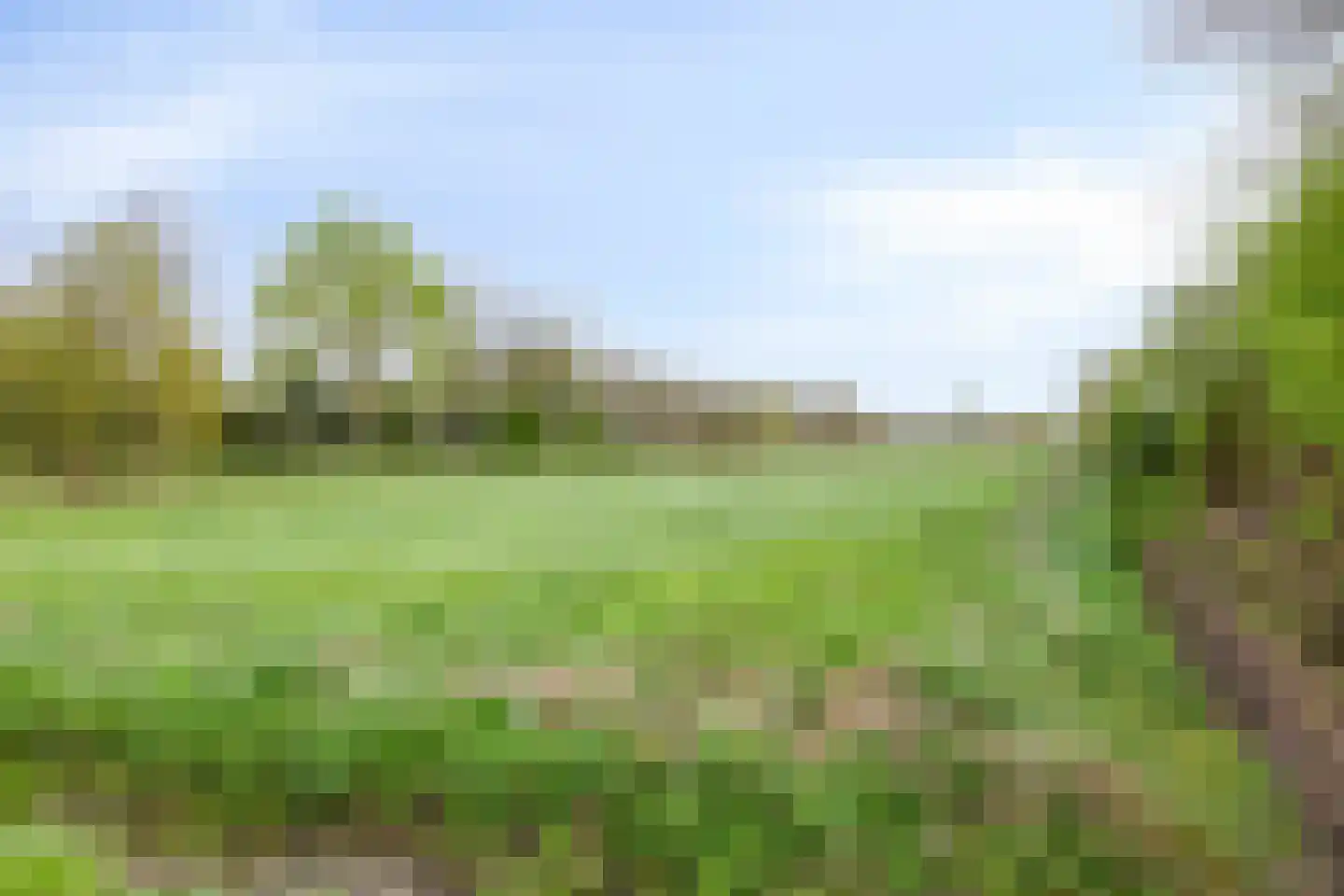 Egbertdonk 10 Roosendaal thumbnail 59