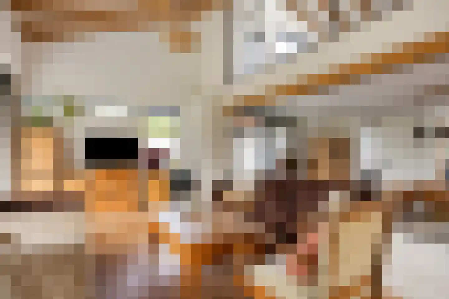 Egbertdonk 10 Roosendaal thumbnail 6