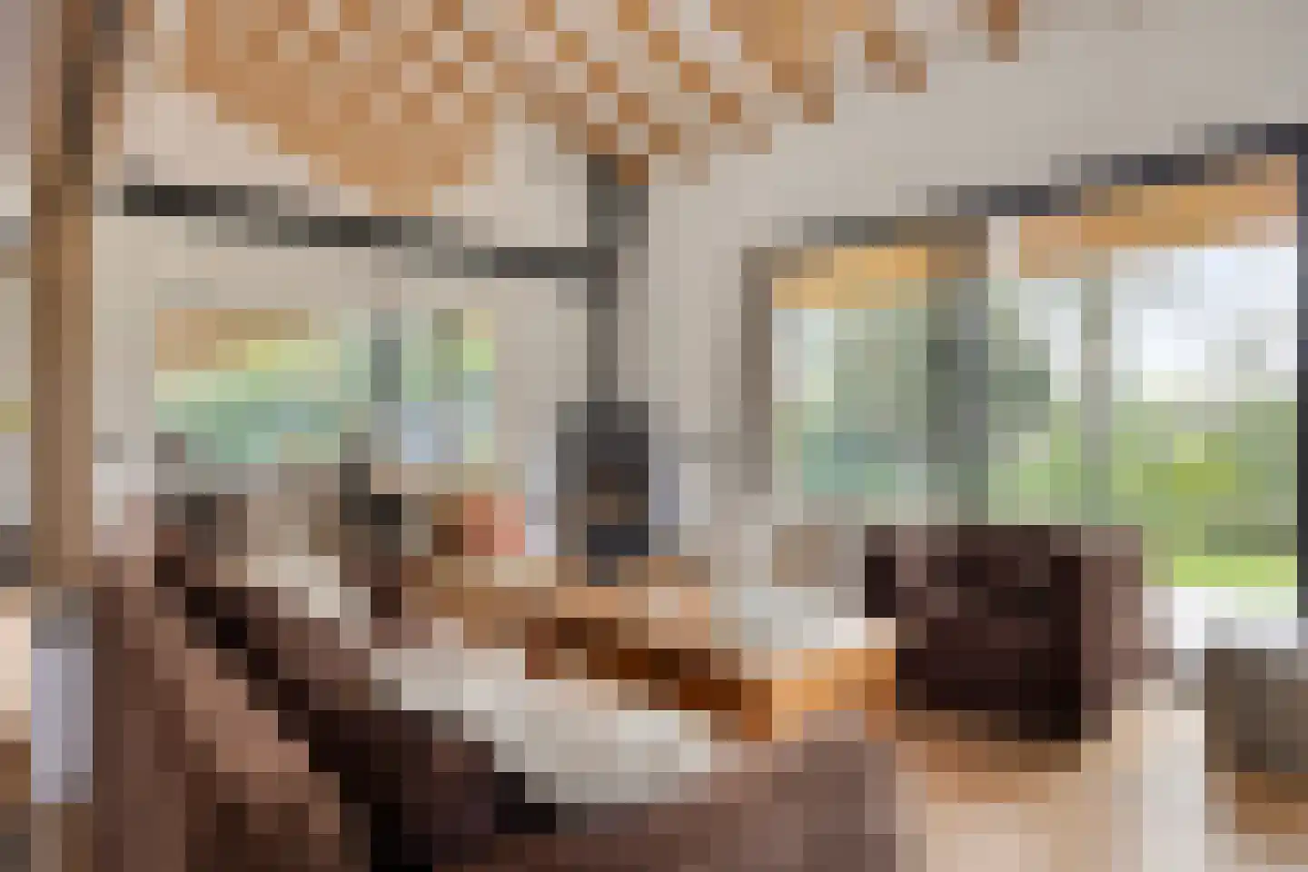 Egbertdonk 10 Roosendaal thumbnail 8