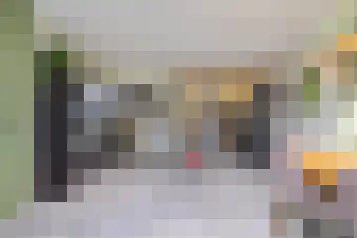 Egchelseweg 27 Panningen thumbnail 9