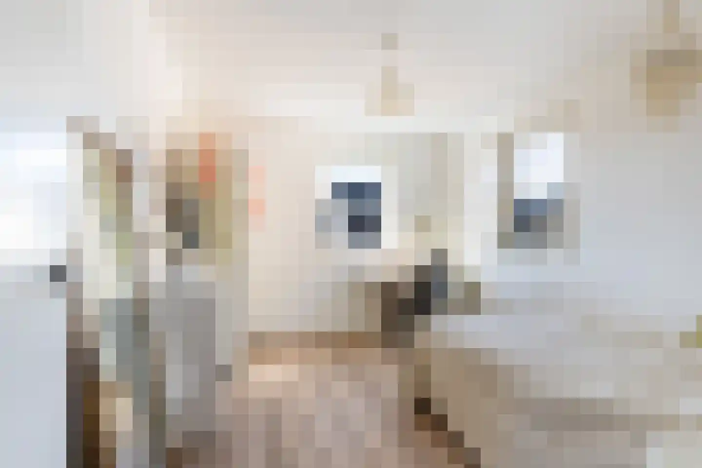 Egeïsche Zee 2 B Amersfoort thumbnail 22