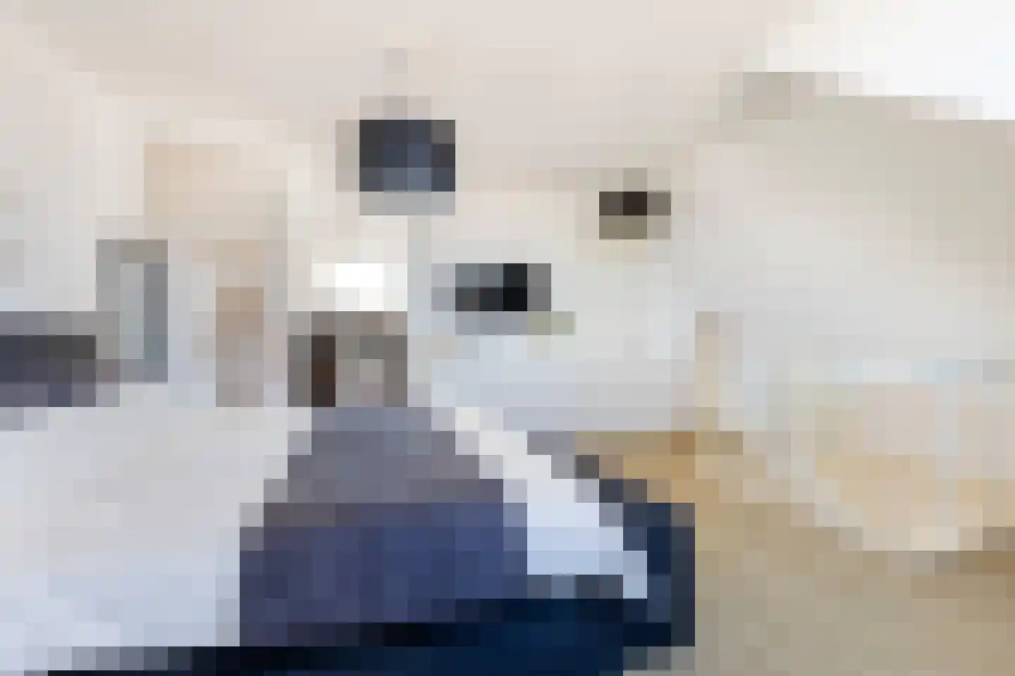 Egeïsche Zee 2 B Amersfoort thumbnail 35