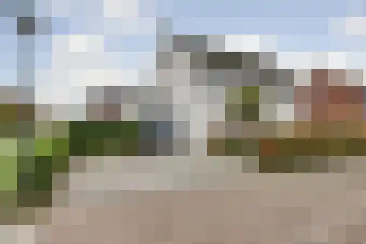 Egel 1 Vlijmen