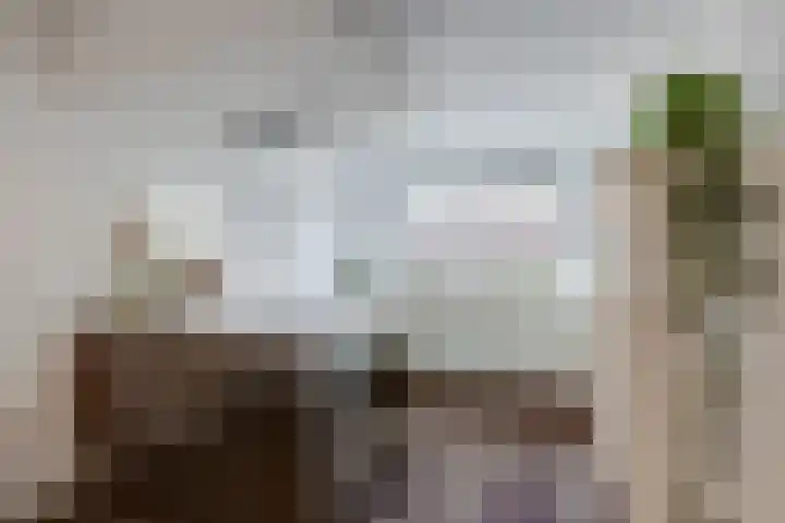 Egel 1 Vlijmen thumbnail 10
