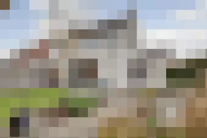 Egel 1 Vlijmen foto 2