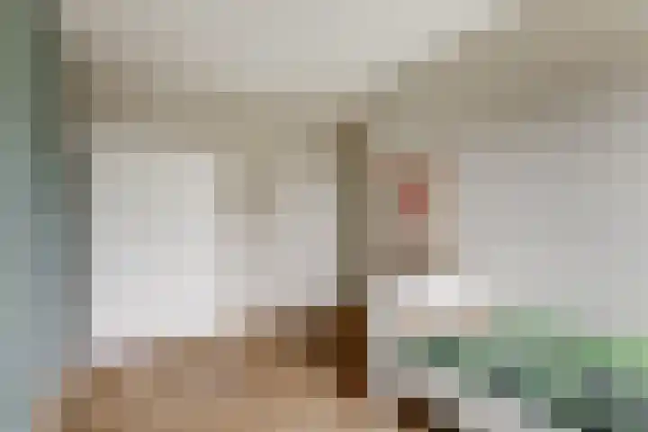 Egel 1 Vlijmen thumbnail 20
