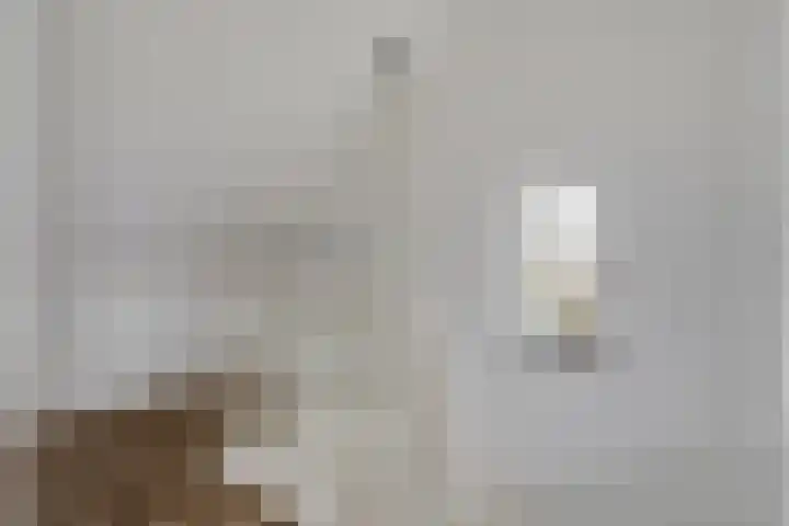 Egel 1 Vlijmen thumbnail 28