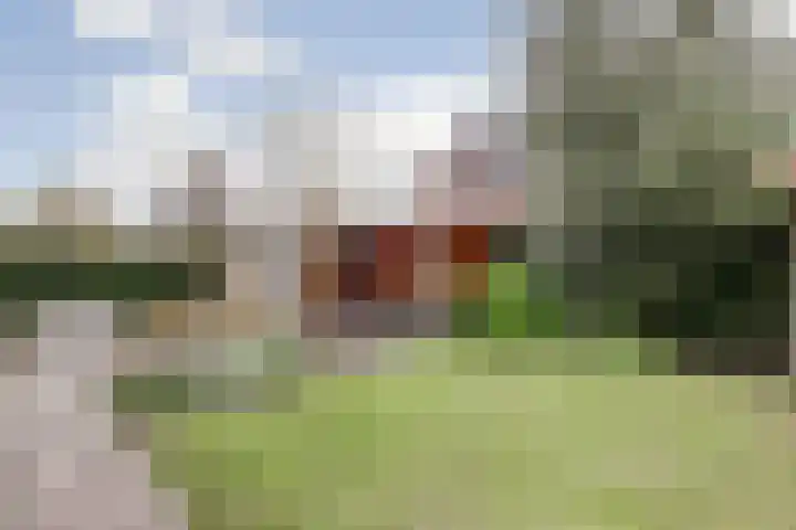 Egel 1 Vlijmen foto 3