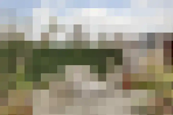Egel 1 Vlijmen thumbnail 33
