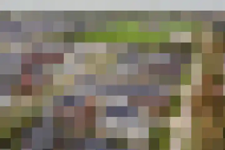 Egel 1 Vlijmen thumbnail 36