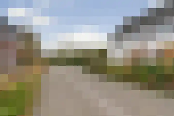 Egel 1 Vlijmen thumbnail 40
