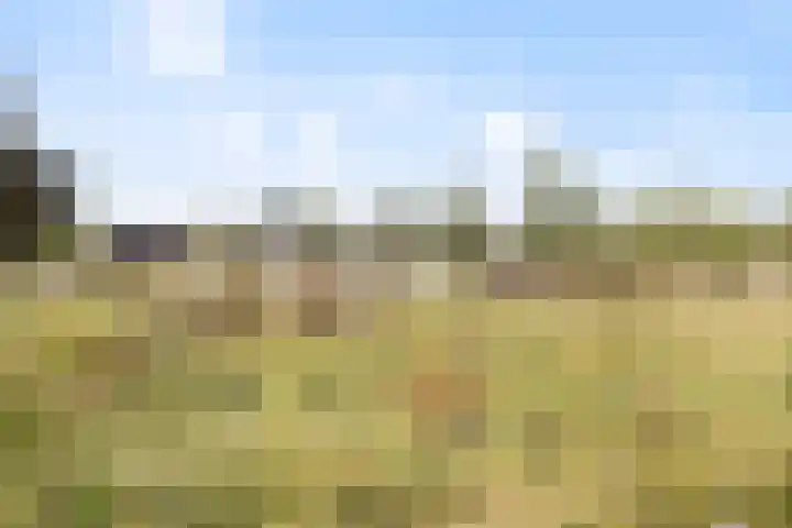 Egel 1 Vlijmen thumbnail 41
