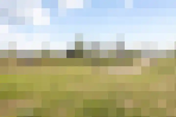 Egel 1 Vlijmen thumbnail 42