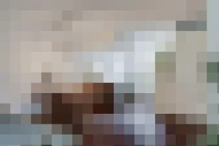 Egel 1 Vlijmen thumbnail 8